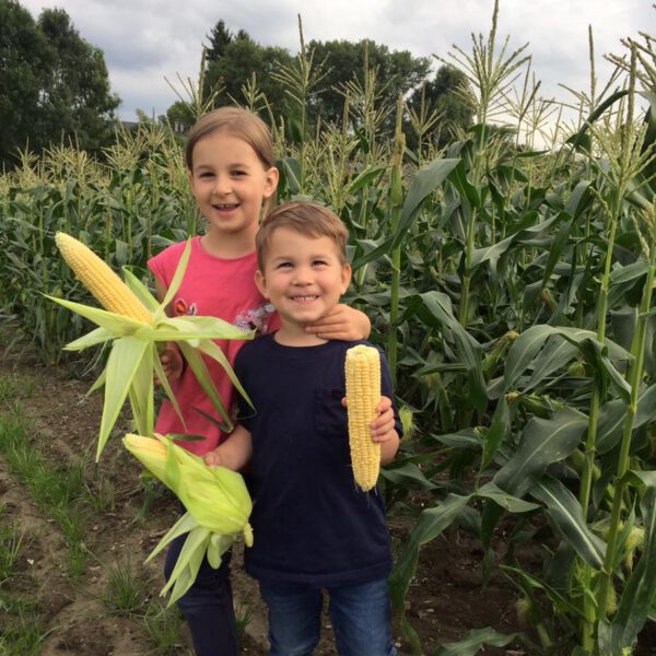 20265040_1690465124320462_44482649721204560_n